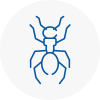 Ant Removals In Barnoldswick