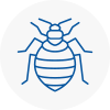 Bed Bug Extermination In Barnoldswick