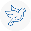 Bird Prevention Barnoldswick