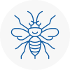 Barnoldswick Hornet Nest Removals