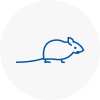 Mice Exterminators In Barnoldswick
