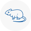 Rat Control Barnoldswick