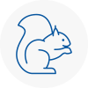 Barnoldswick Rodent Removals